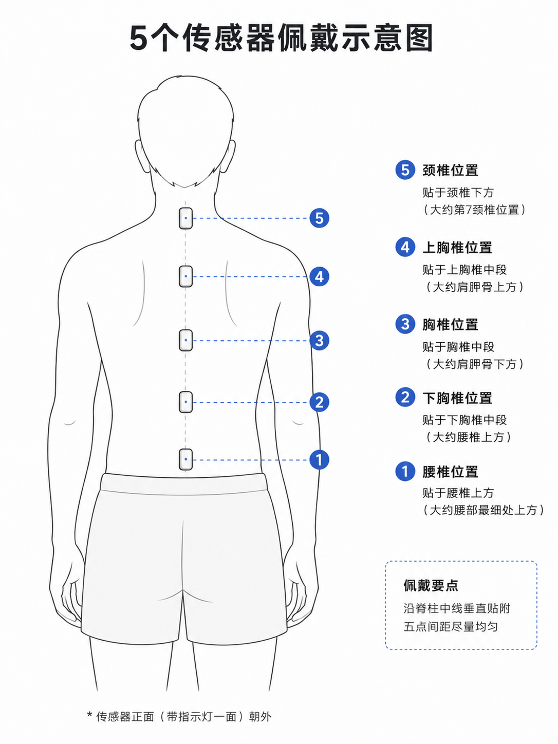 五个传感器沿背部脊柱中线佩戴,编号从腰部的 1 号向上排列至颈部的 5 号